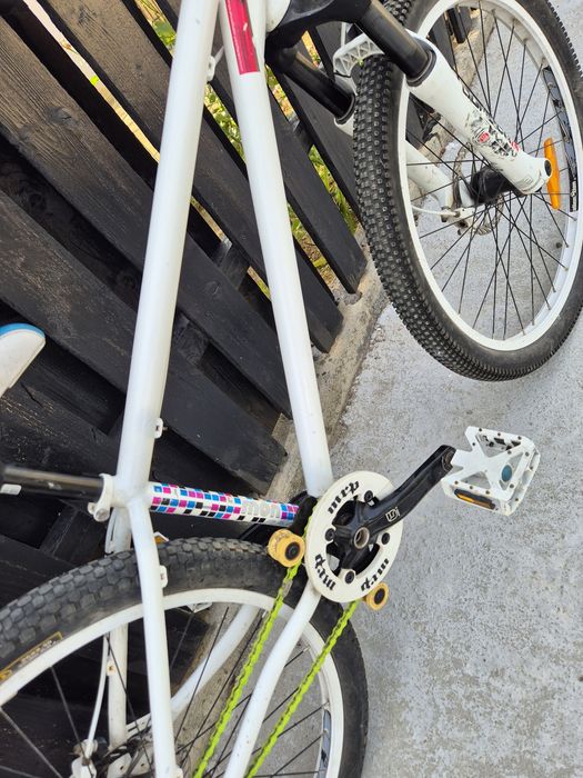 Dirt  mongoose ritual dirt-hi