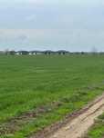 Teren Intravilan  4.000 mp la marginea pădurii, Săbăreni, Giurgiu