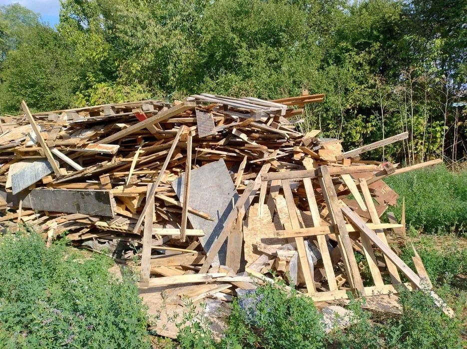 Vând lemne de foc, preț avantajos