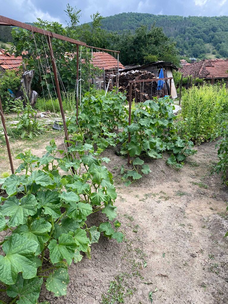 Продава се Къща в Бургас, Лазур - 150 кв.м за 167 €/кв.м - Снимка #6
