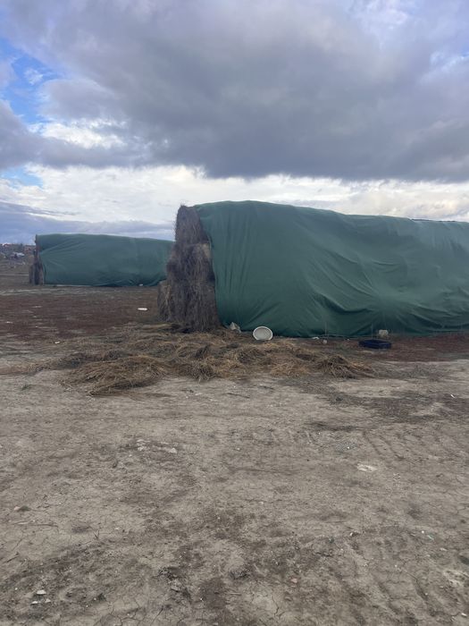 Baloti de fân 120/120