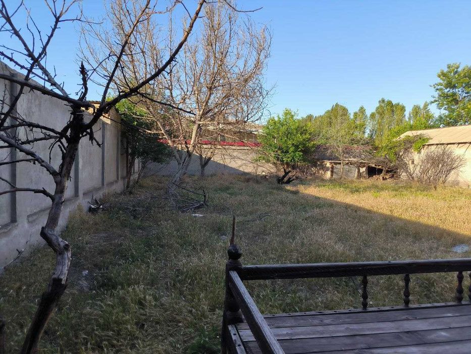 Ijara 2 200 m2 Mevazor MFY, Amir Temur mahalla Аренда Мевазор 2 200 м2