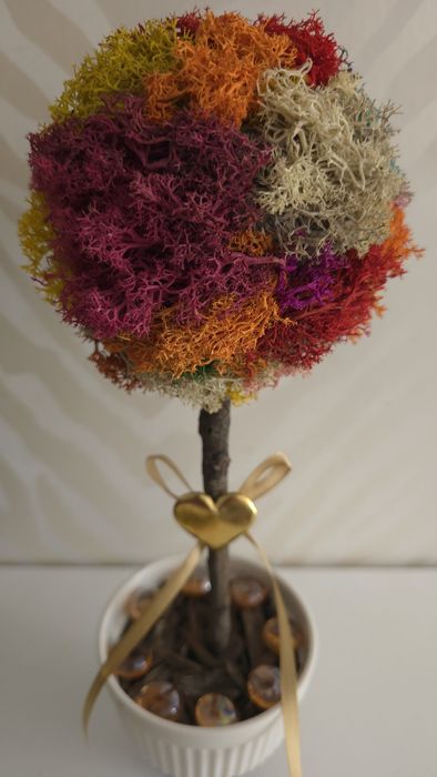 Подаръци с мъх , кашпи с рози