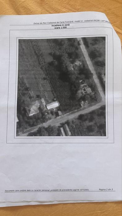 Gradina cu vie 11190mp, Belcesti - Satu nou, jud.Iasi