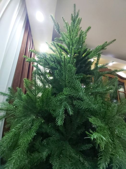 Brad de lux  din pvc