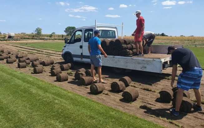 Sisteme de Irigare si Gazon Rulou
