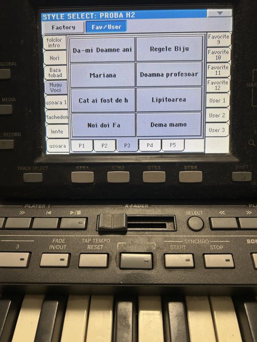 Orga korg pa3x pro