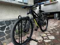 Canyon neuron 29