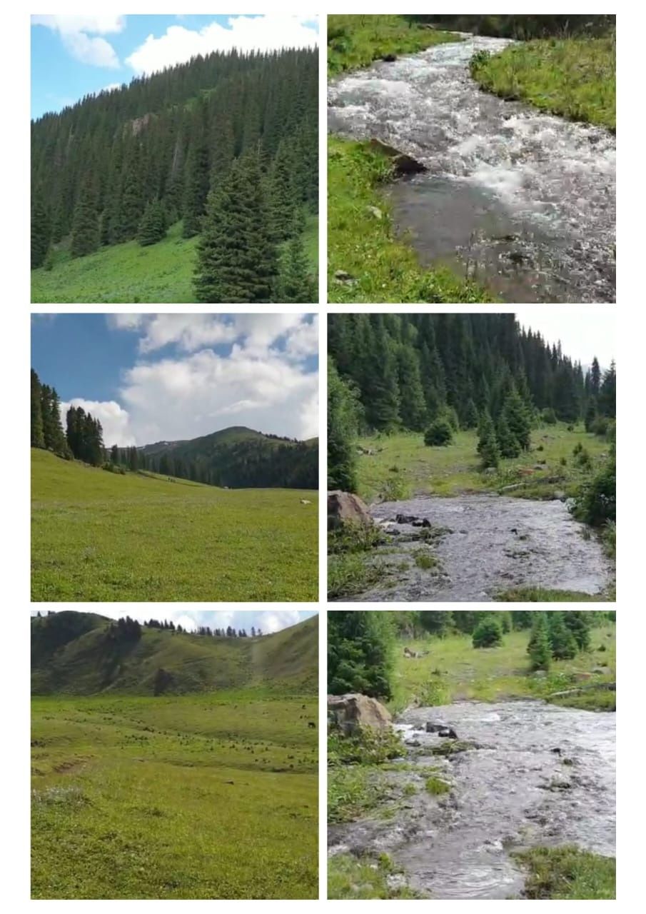 Мал шаруашылыгы...