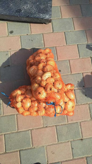 Ceapă de vânzare