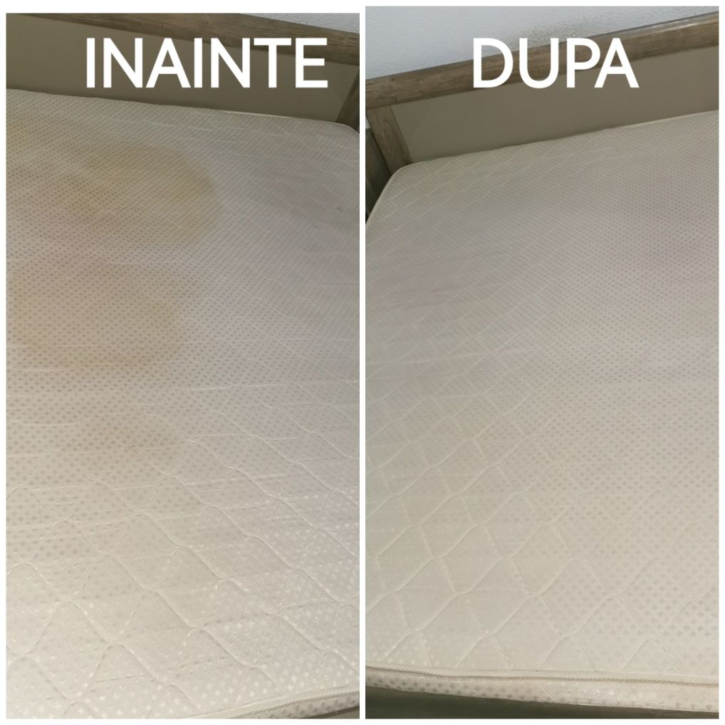 Servicii de curățare canapele,saltele,covoare și mochete