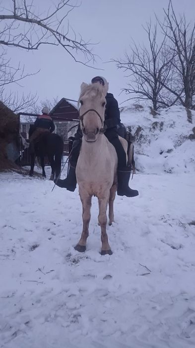 Мансур Мусахмет 2010