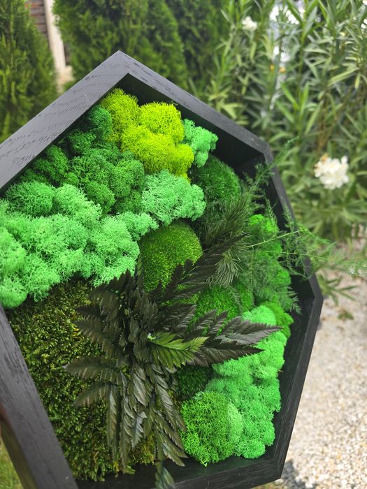 Tablou plante stabilizate, naturale 100%