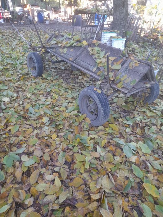 Căruță (ștraf )de vanzare
