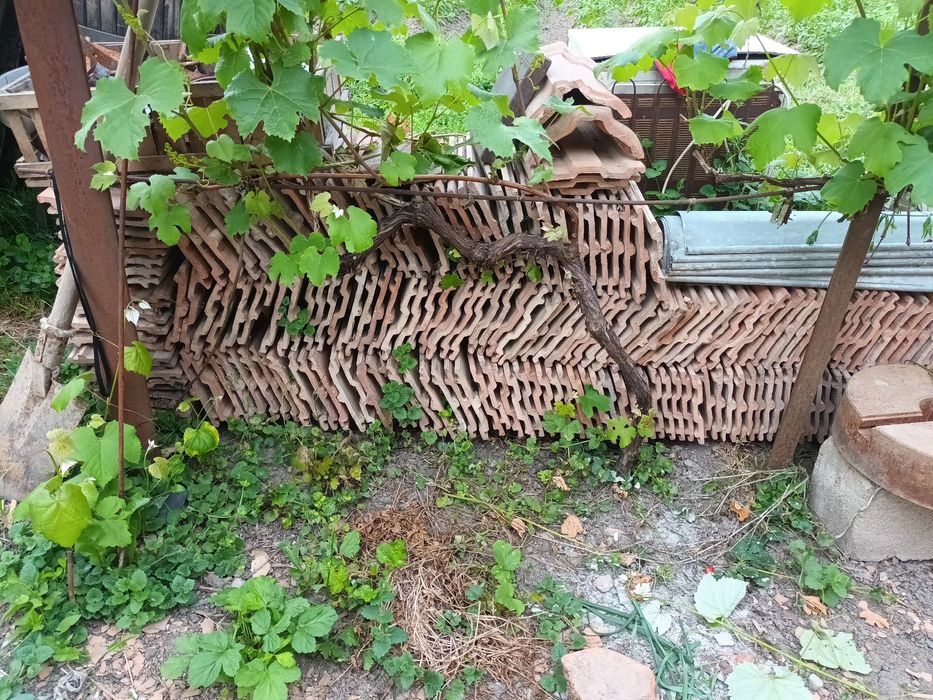 Țigle noi 300 de bucăți