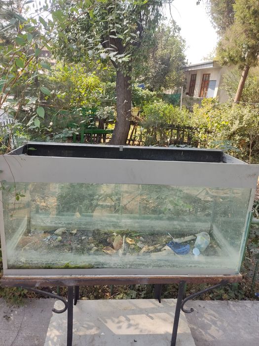 Продаю аквариум литраж точно не знаю