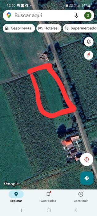 Teren de vanzare in Soporul De Campie