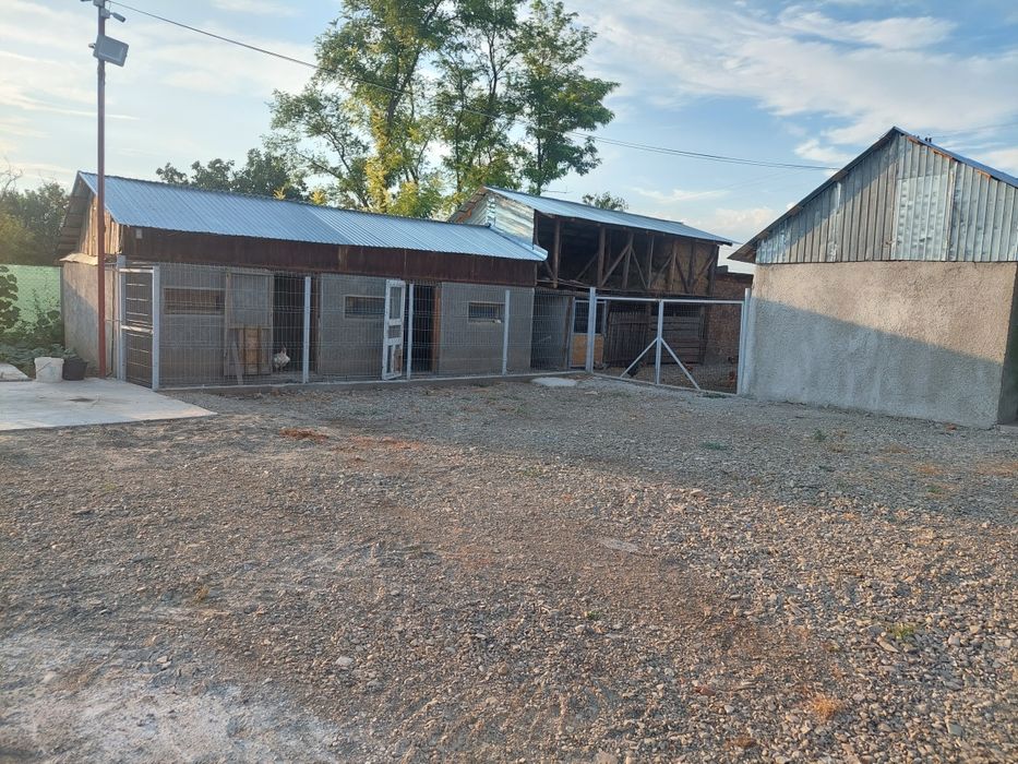 Casa de vacanta stare buna