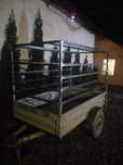 Remorca stema 750kg