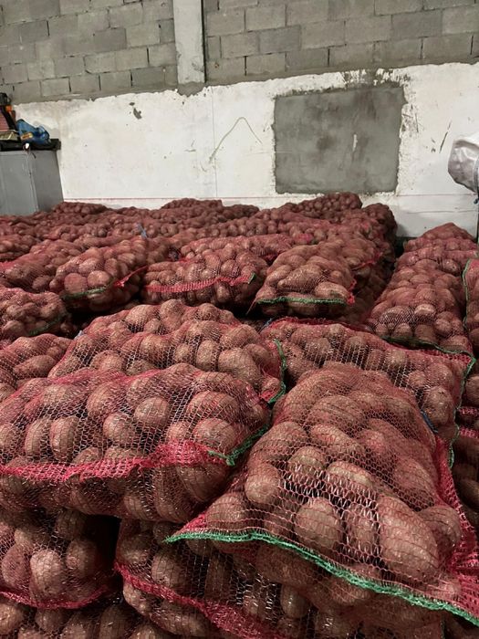 Vand cartofi albi si rosii