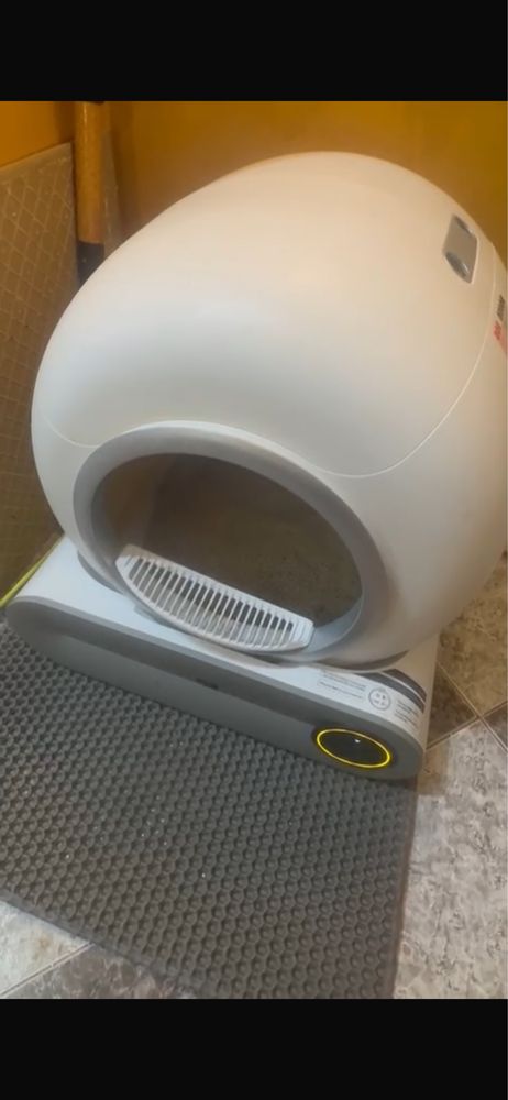 Котешка тоалетна