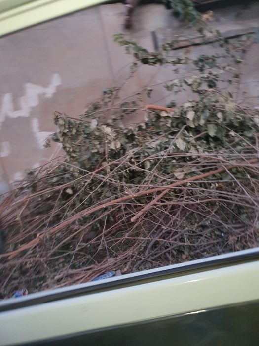 Утин тахта сотилади