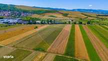 Teren/ Plantatie cu Trandafiri de Damasc 7,000mp Teliu - Brasov!