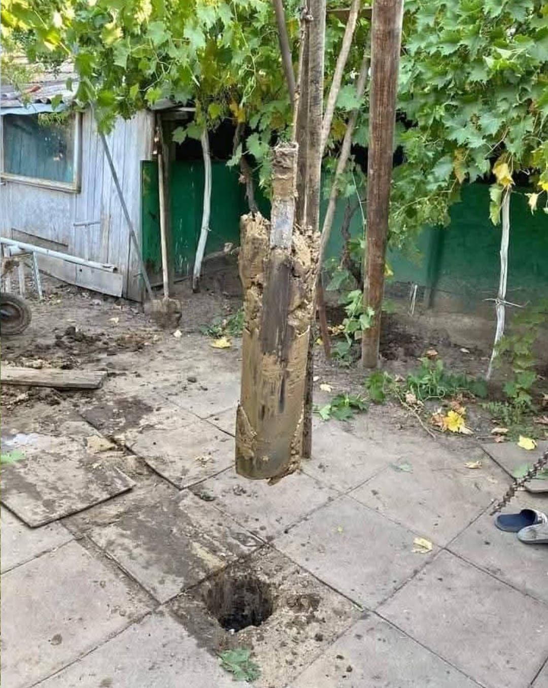 Foraje puturi apa