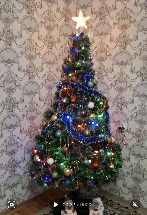 Шырша сатылады, жағдайы жақсы.