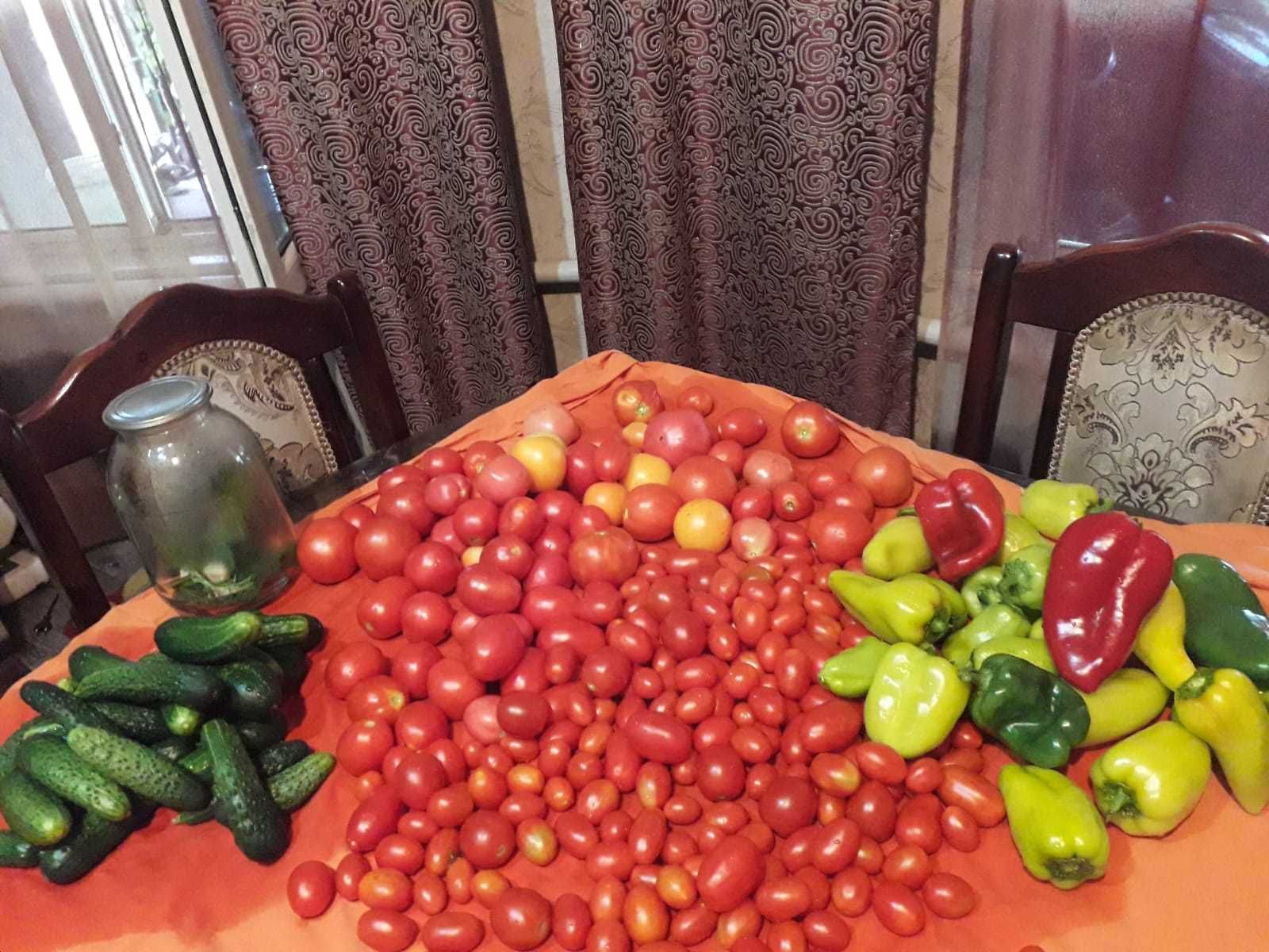 Саленые огурцы домашние