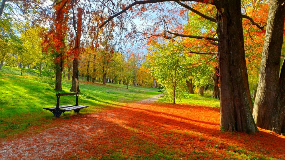 Premergător copii în stare foarte bună folosit câteva zile