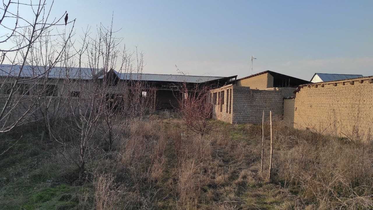 Участка 10 сотых.