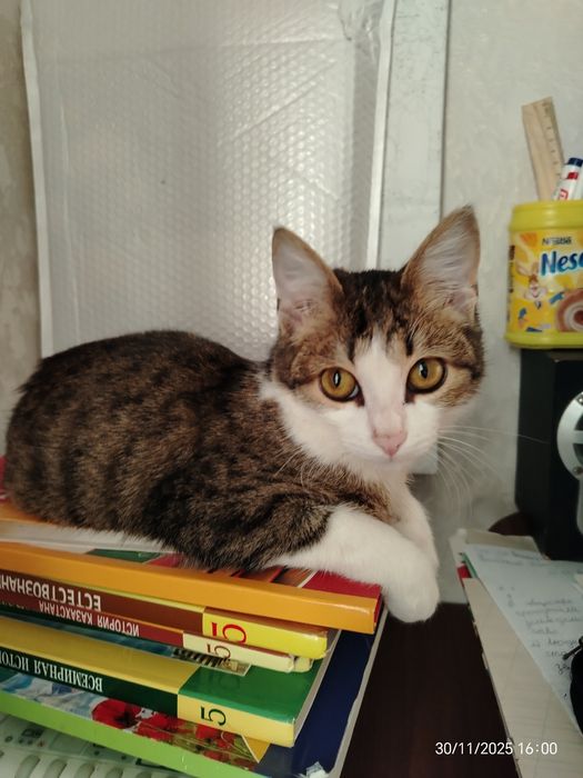 Мальчик 6 мес. В любящую семью.