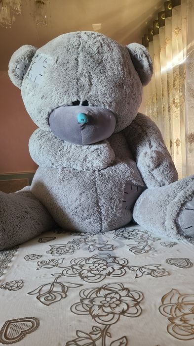 Momiq ayiq holati gòzal