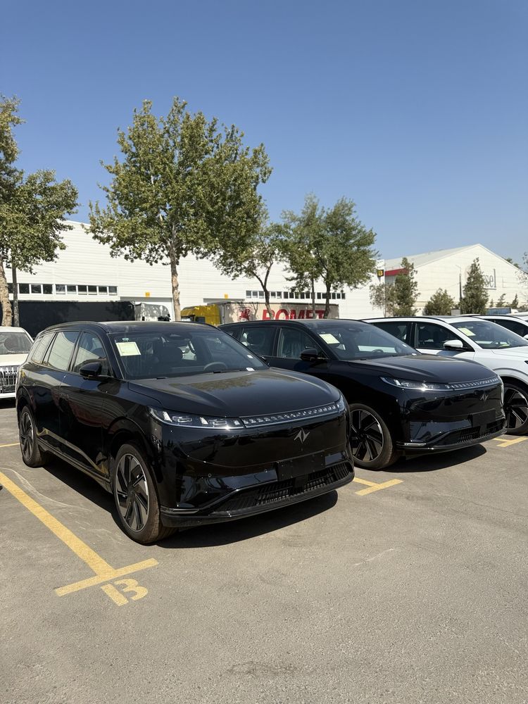 Dongfeng 008 ultra (210 gibrid hybrid) 2025 kuzov qora oq saloni qora