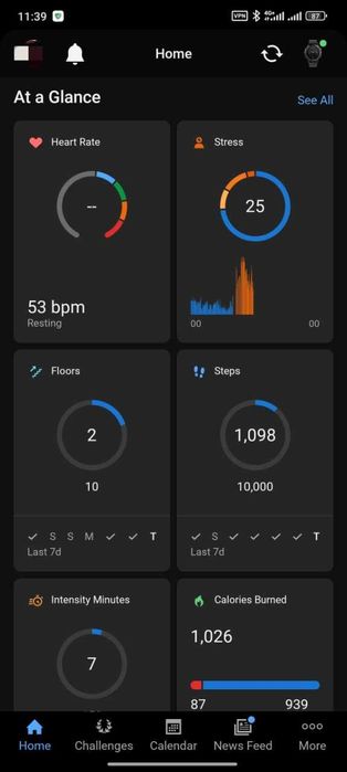 Garmin Fenix 5 Sapphire Edition