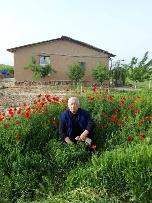 Зоминда 20 сотих ер-участка, чорвачилик учун идеал жой сотилади