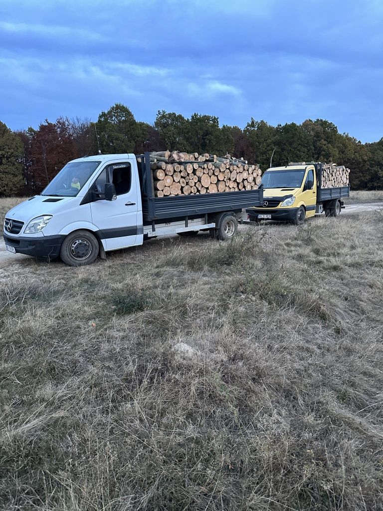 Vând lemn de foc esență tare fag carpen stejar salcam