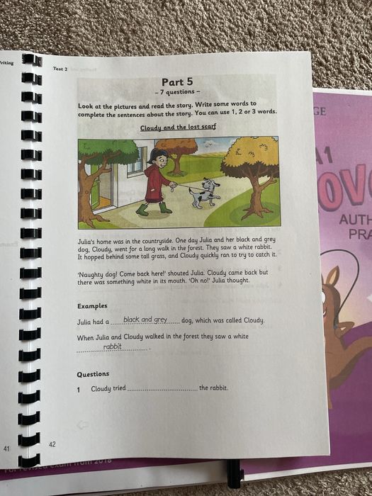 Carti teste Cambridge  Movers/ carti raspunsuri