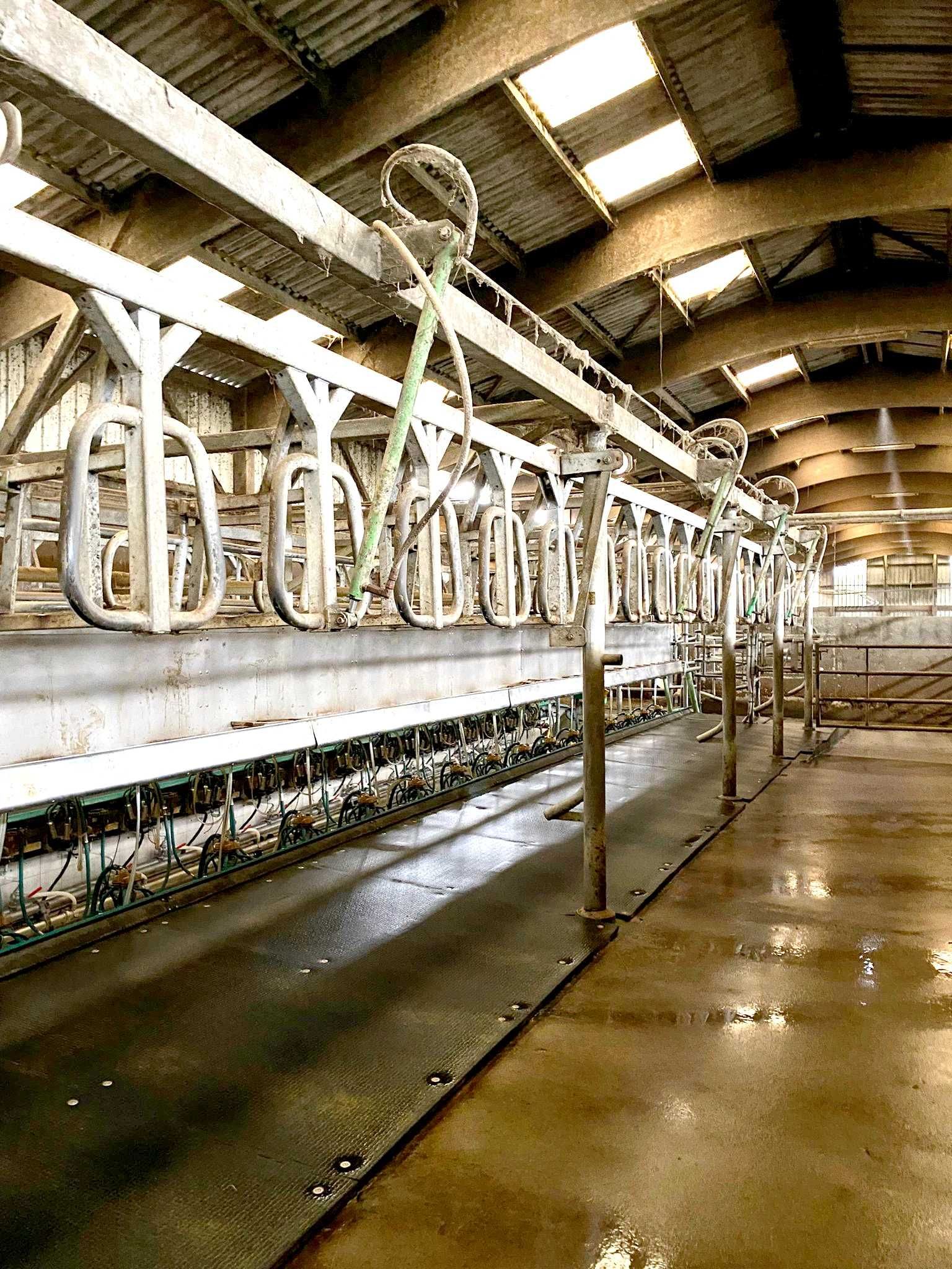 Sala de muls bovine EUROCOMFORT 2×18 second hand