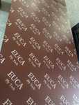 Cofraje TEGO EUCA PLY TECH - Eucalipt, calitate TOP!