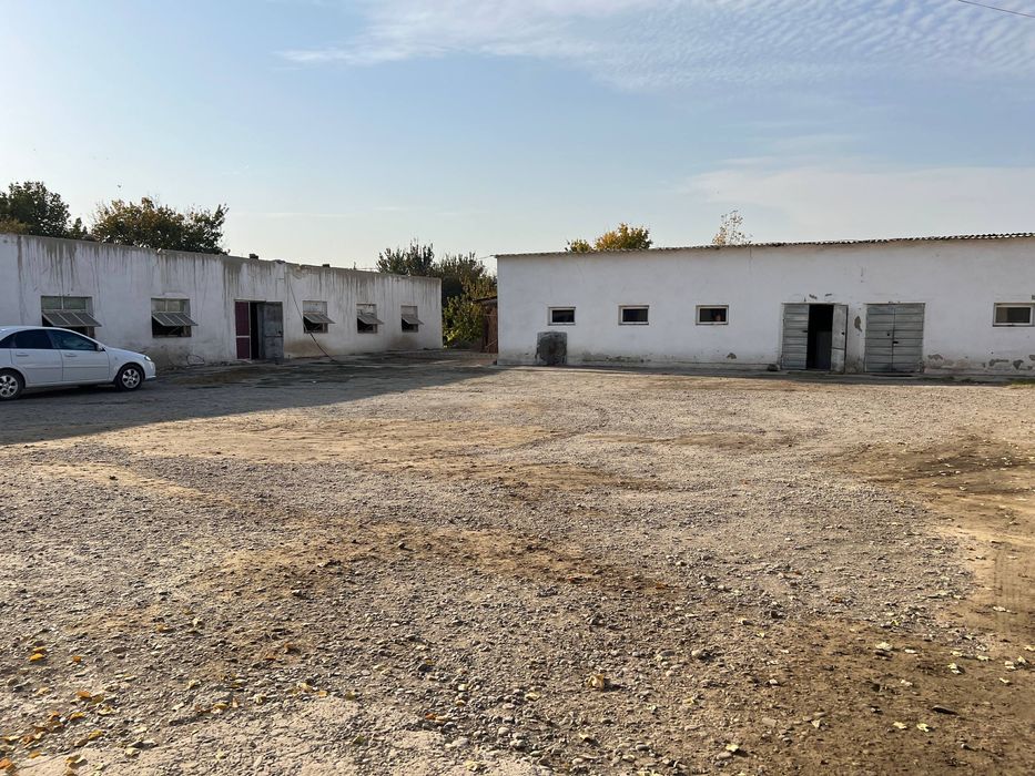 Rancho, Tayyor ishlab turgan obyekt katta ferma tez va arzon sotiladi