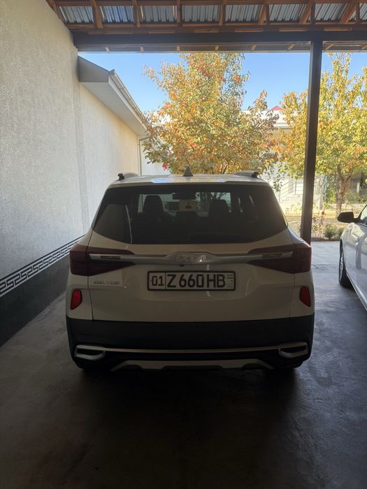 Kia Seltos 2022 Dekabr