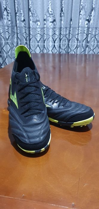 Sarakanojka, Mizuno morelia neo M8