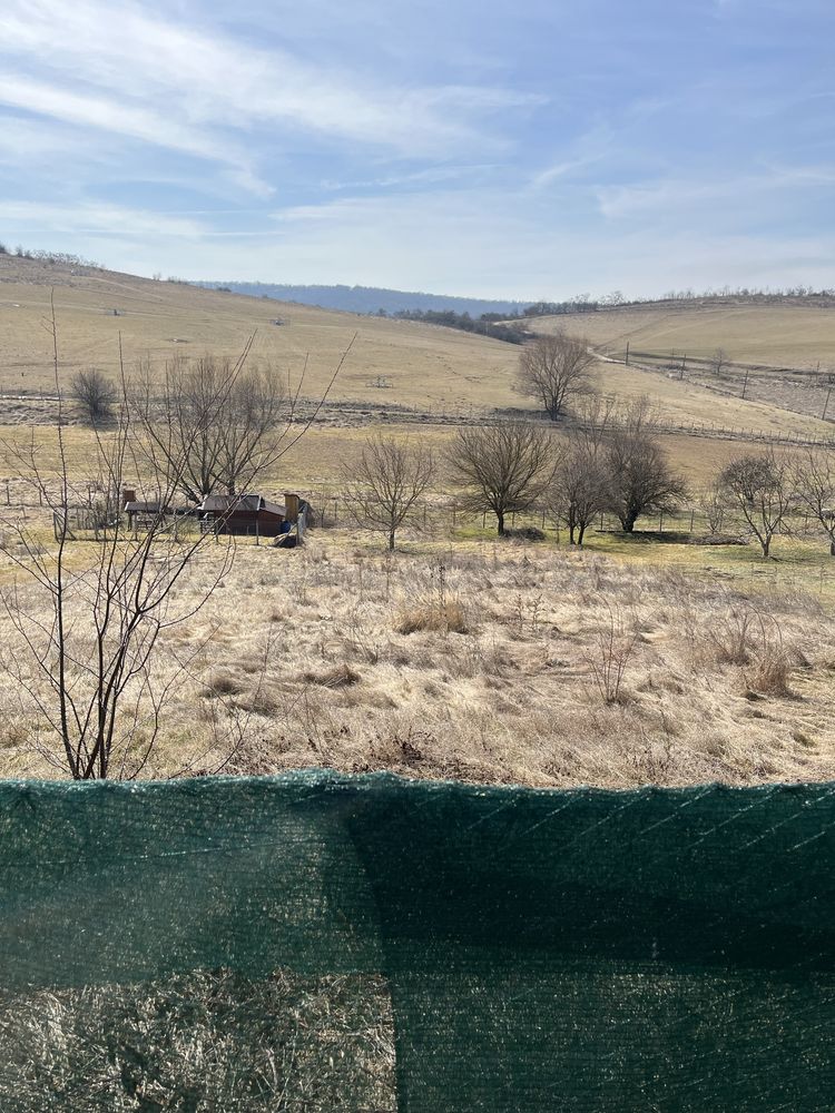 Teren intravilan cu autorizatie de constructie 1260mp str viile Unomaj