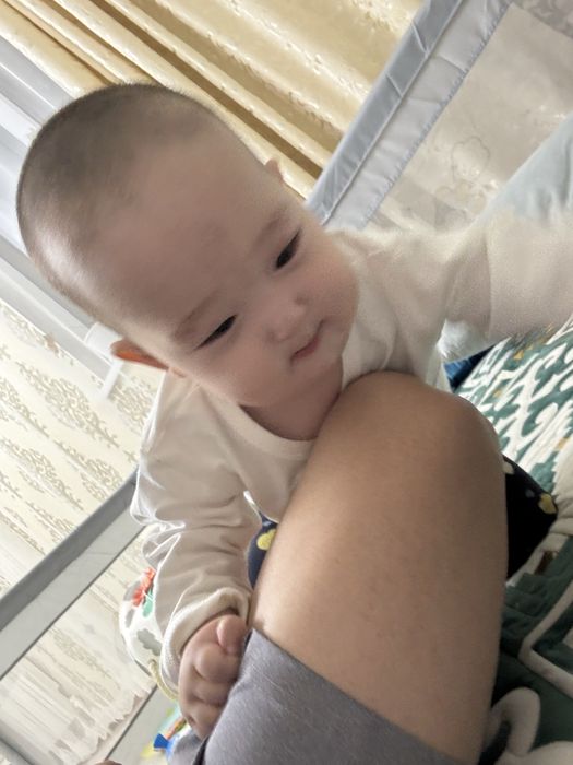 Еркек тай сатылады