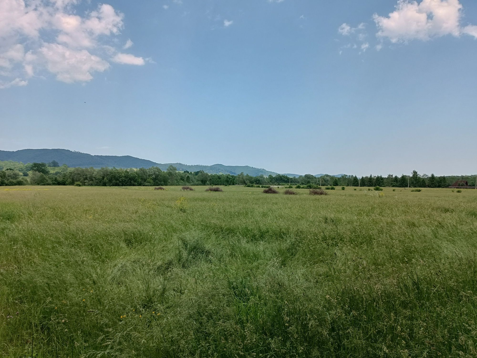 Teren vânzare Mănăstirea Neamț