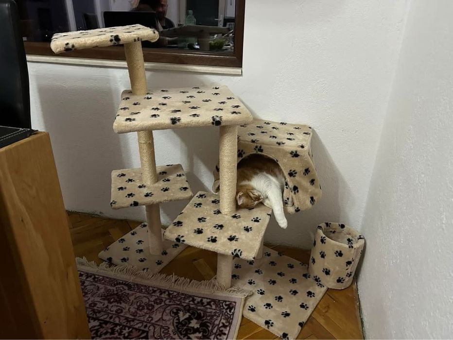 Катерушка за котка “до тавана”