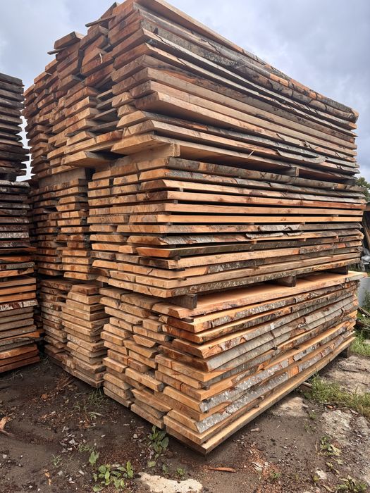 Cherestea fag  uscata gr.48mm