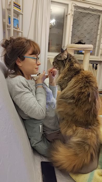 Pet sitter Bucuresti